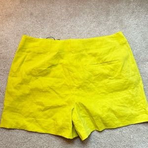 Theory, lime shorts